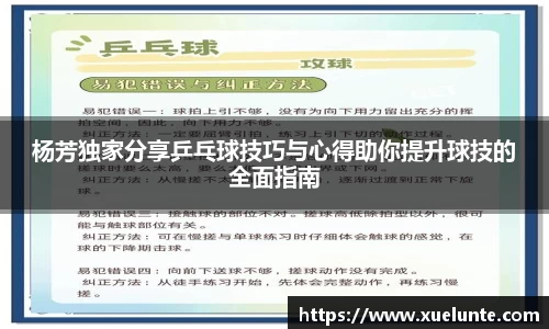 杨芳独家分享乒乓球技巧与心得助你提升球技的全面指南